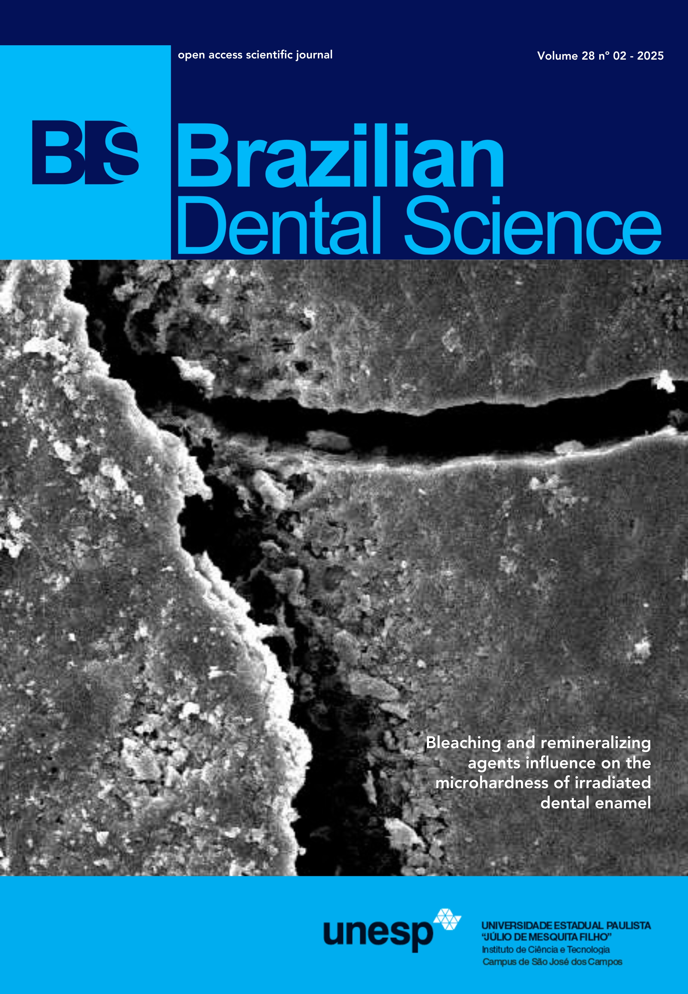 					View Vol. 28 No. 2 (2025): Apr - Jun / 2025 - Published Apr 2025
				